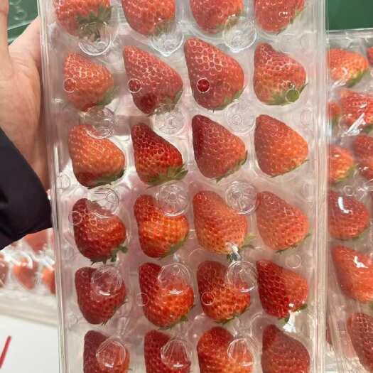 北京自家草莓，保证品质