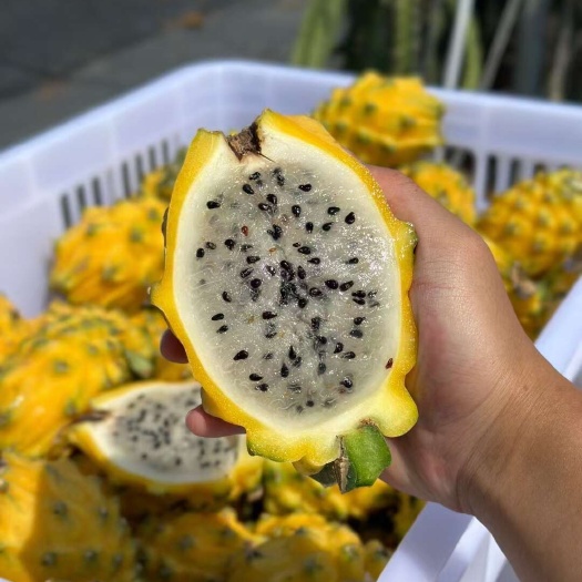 海南三亚燕窝果 现摘现发 甜润多汁 高品质热带水果 顺丰包邮