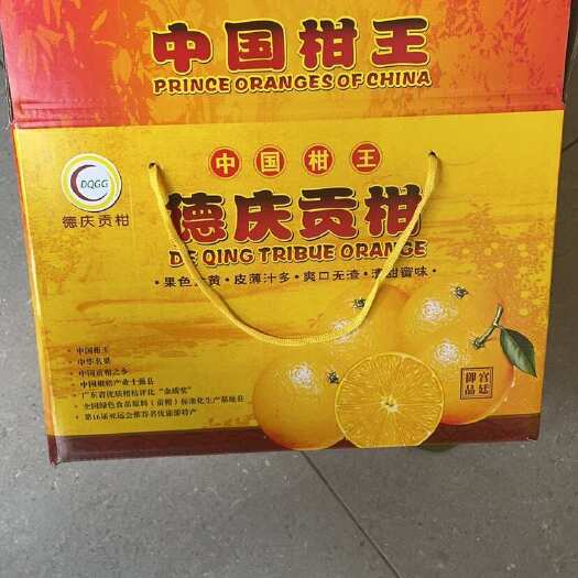德庆县广东德庆皇帝柑，产地直发，现摘现发
