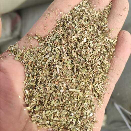 上蔡县花生秧
