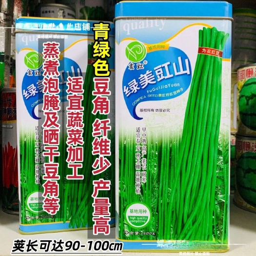 沭阳县绿美豇山青绿色长豆角种子超长绿条豇豆种子升级901豆角种籽特