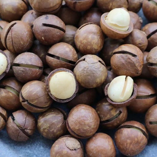 昆明夏威夷果原味奶香味产地厂家批发
