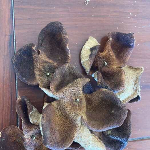 江门会陈皮～大红皮