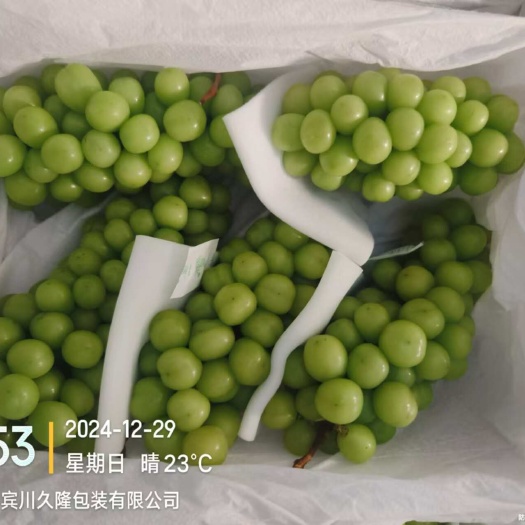 宾川县云南高原阳光玫瑰