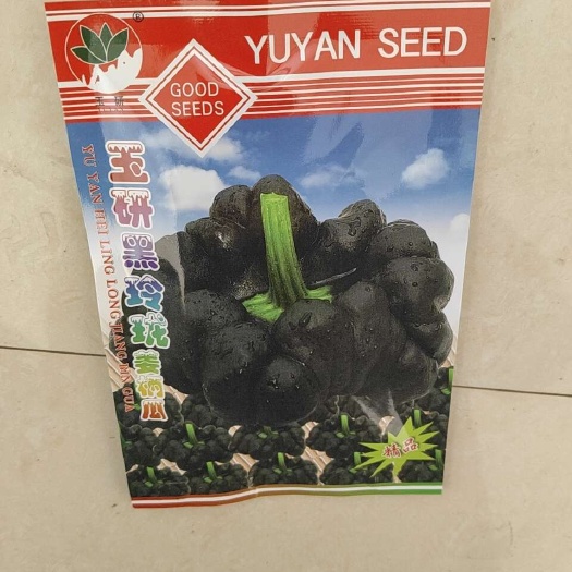 玉溪姜柄瓜种子