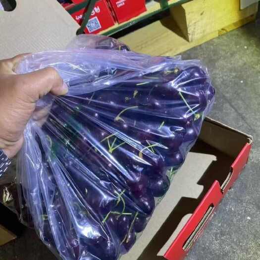 昆明海运三蕃市大桑提娜