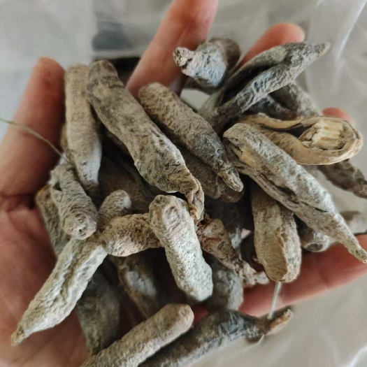 茄子海参140头批发33元一斤