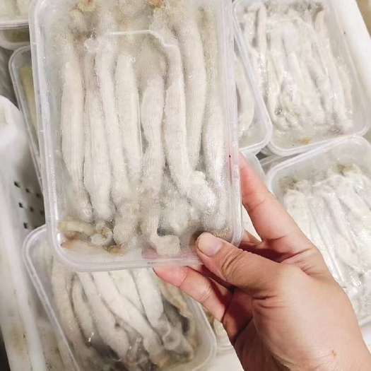 去内脏沙虫新鲜沙虫特产 宝宝煲汤补品 熟冻海肠去沙