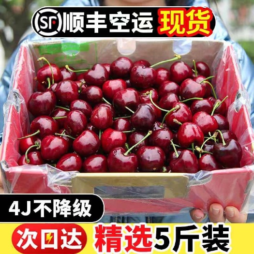 山东美早樱桃5斤车厘子新鲜水果大樱桃整箱