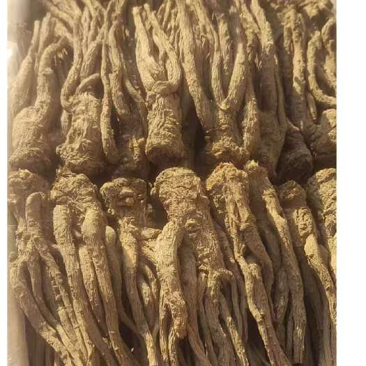 岷县精品当归