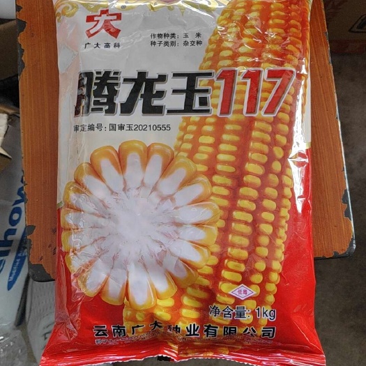 玉溪腾龙玉117