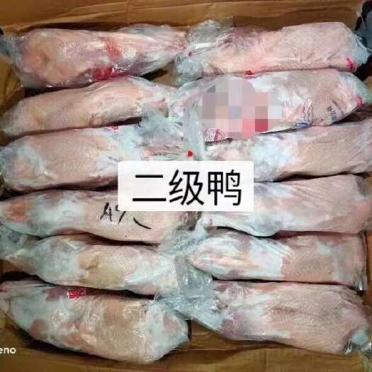 沂南县产地直销沂南二级白条鸭900克