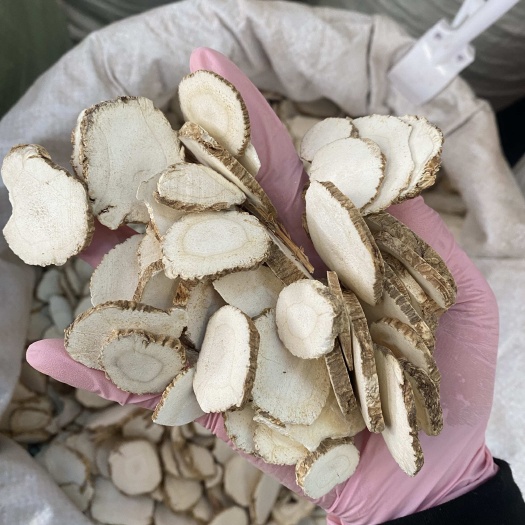 陆川县白芷中片 干度好