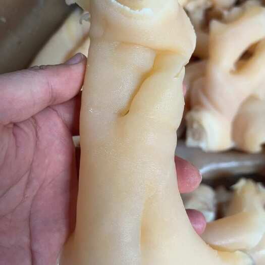 阳信县牛蹄皮