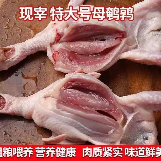 武陟县活鸟屠宰鹌鹑，食品加工厂省时省力