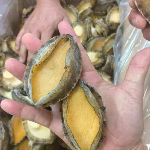 大号鲍鱼肉九孔鲍鱼海鲜珍品佛跳墙鲍鱼肉