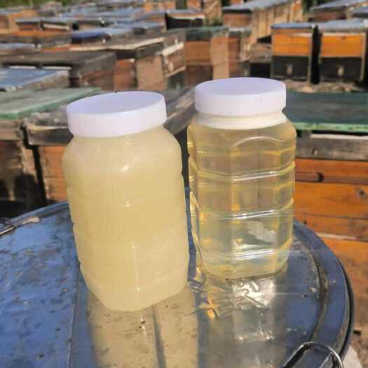 亳州安徽深山洋槐蜜，槐花蜜 自产自销 农副加工营养滋补品