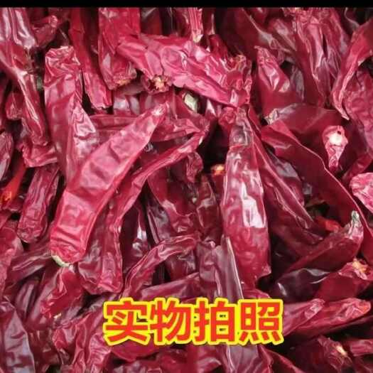 新疆红龙23板椒