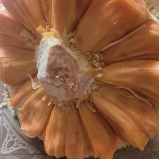 陵水县海南陵水菠萝蜜木菠萝蜜批发。大小规格都有。需要其他规格可以聊