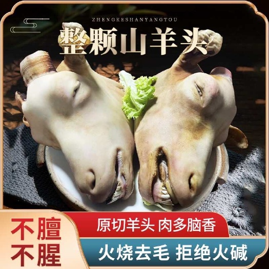 内蒙古山羊头，火烧去毛山羊头，不膻不腥手工火燎