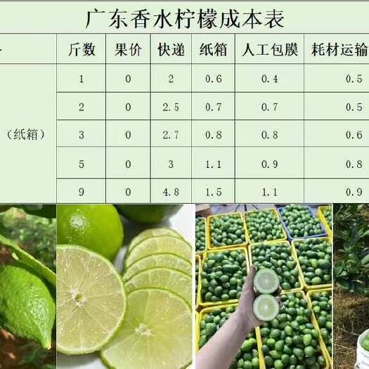 广州2025年香水柠檬电商一件代发最新价格