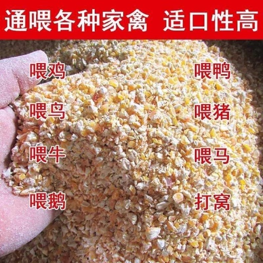 长春100斤包邮纯玉米碎渣鸡鸭鹅养殖户专用家用鸡饲料碎玉米原料