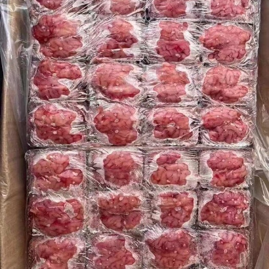 中牟县羊脑