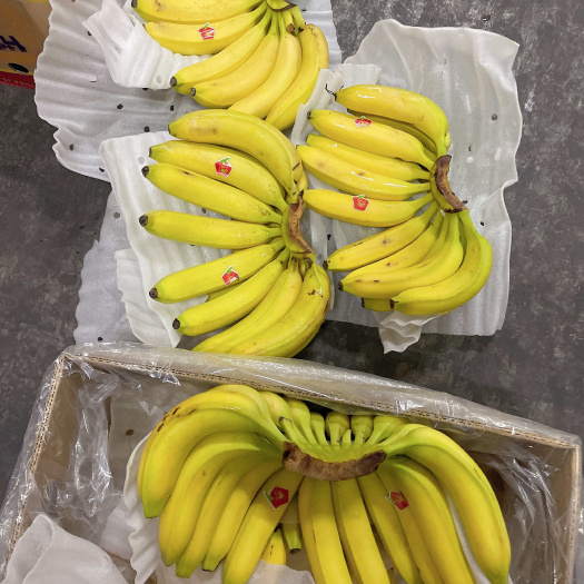 菲律宾精品二级蕉、净重27斤、保质保量. 可发全国