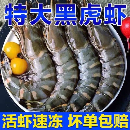 黑虎虾大虾海洋虾虾子新鲜大号斑节虾冻虾老虎虾海鲜水产批发礼盒