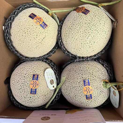 昆明蜜蜜网纹瓜