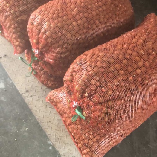 沭阳县无患子