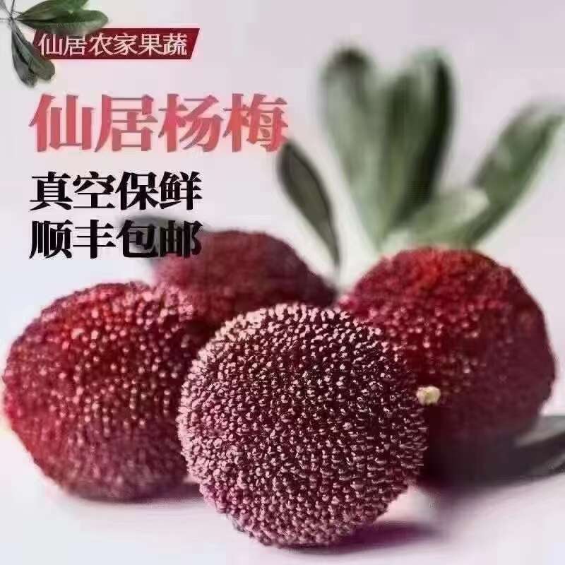 仙居东魅扬梅
