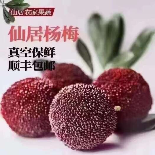 仙居县仙居东魅扬梅