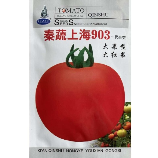 秦蔬上海903大果西红柿种子蔬菜种子大番茄种子春夏蔬菜种
