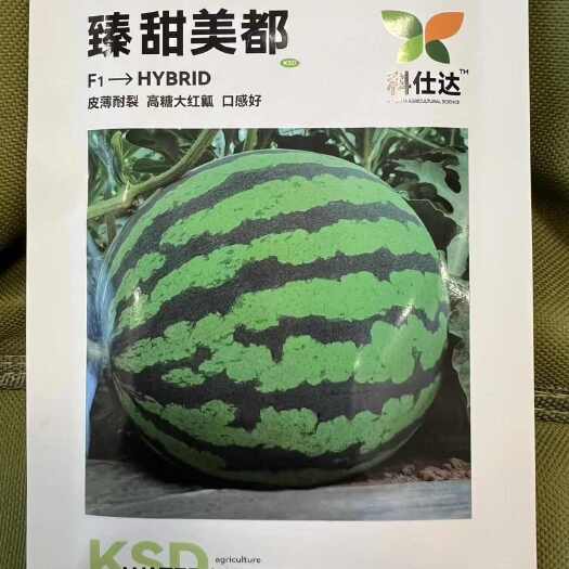 夏邑县臻甜美都西瓜种子，中早熟，圆型，瓤红肉质细脆，单瓜重6～10