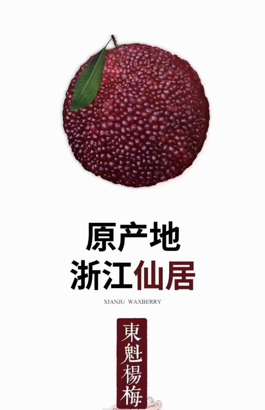 仙居东魅扬梅