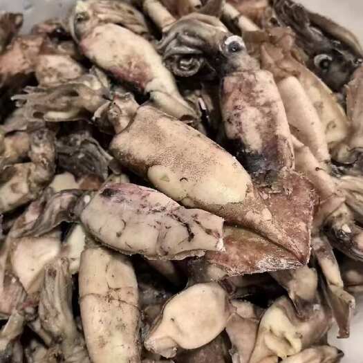 沈阳鱿鱼仔