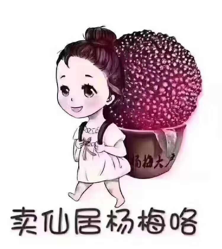 仙居东魅扬梅