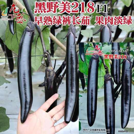 沭阳县黑野美218绿裤长茄种子油黑靓丽果肉淡绿黑茄子长条茄种子春秋