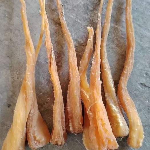 云南萝卜参样品下单