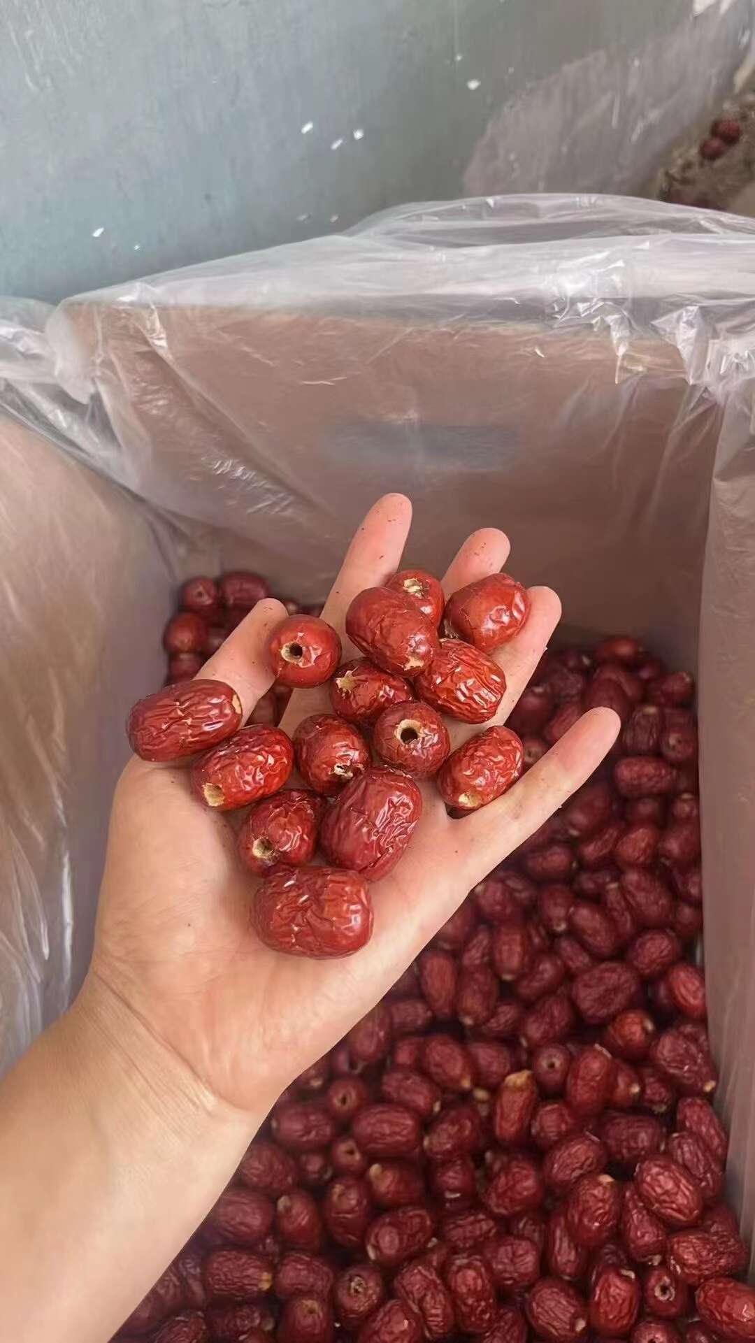 无核新疆若羌灰枣红枣无核红枣去核灰枣，灰枣一件也批发