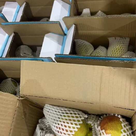 辛集市香梨礼盒 皇冠梨礼盒 大量现货供应、价格便宜 保质保量