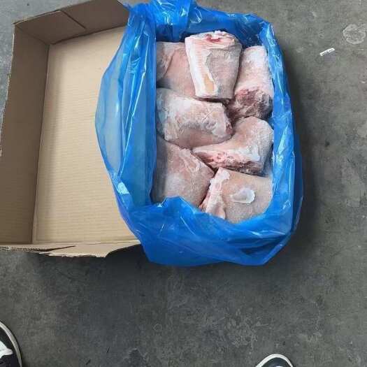 郑州新鲜冷冻猪前肘后肘
