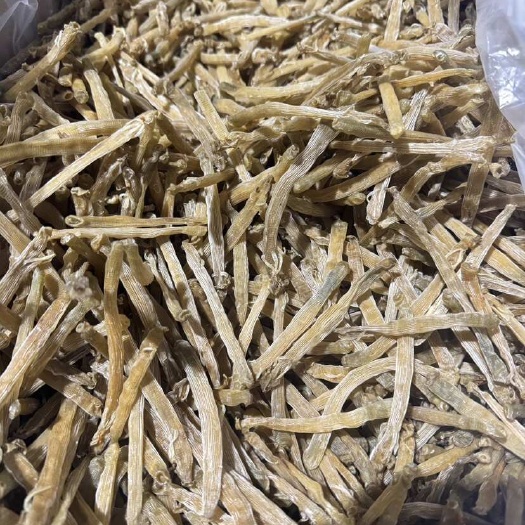 东港市沙虫干