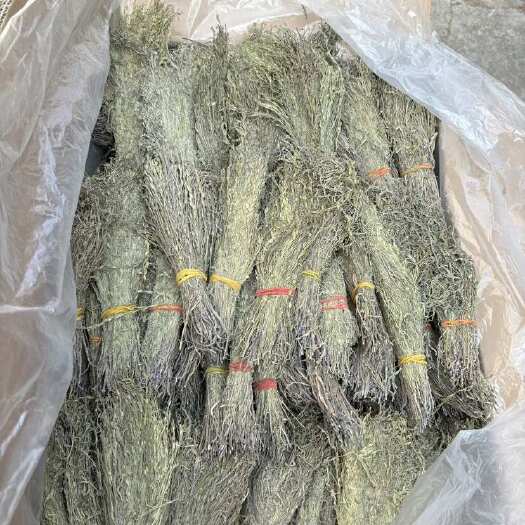独脚金新货甘积草孩儿草颜色青绿  产地直销、量大议价