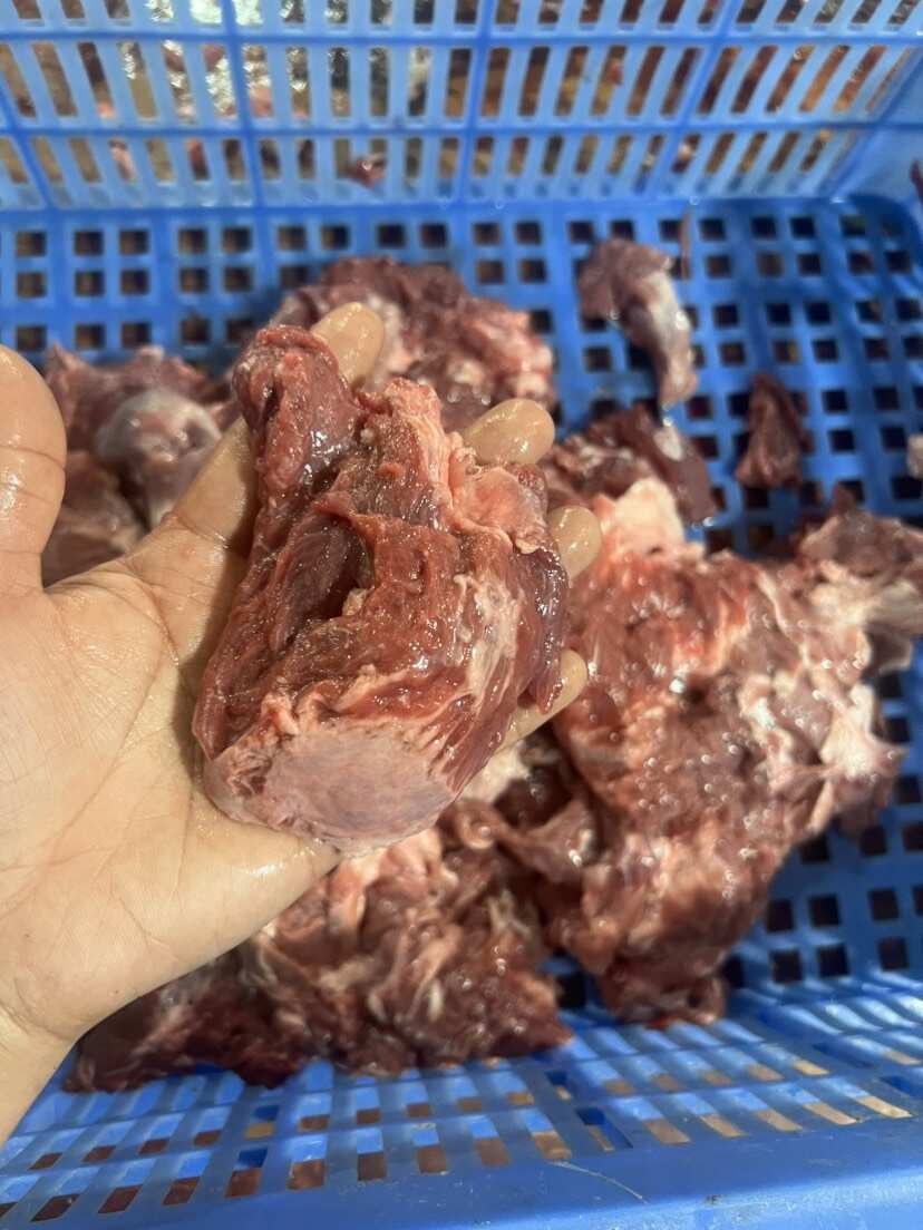 国产牛碎肉，干净干水无毛