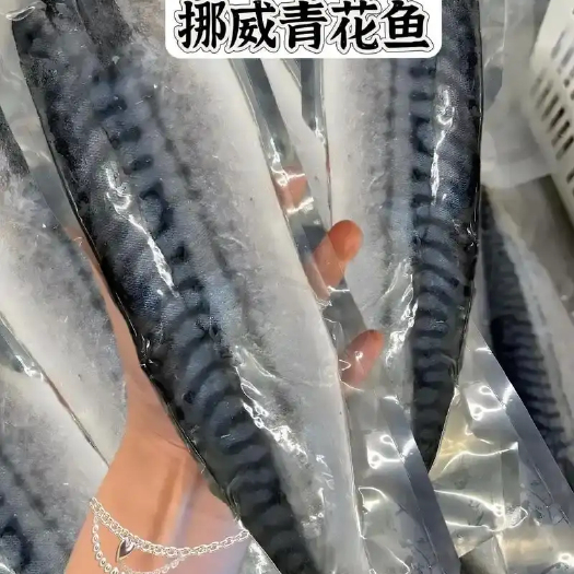 苏州挪威鲭鱼960克青花鱼香煎新鲜整条烧烤鲜嫩冷冻