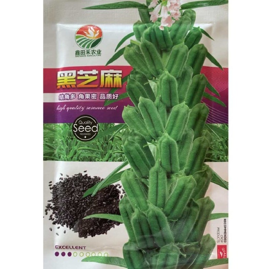 芝麻种子黑芝蔬菜种子大田种植高产型黑芝麻出油多香型黑芝麻种子