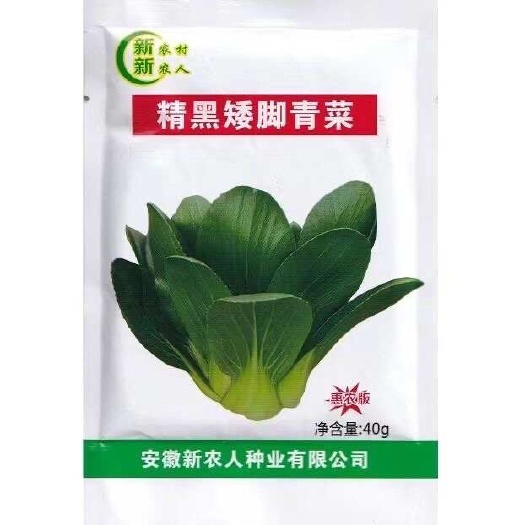 精黑矮角青菜种子新品种好吃矮脚青菜50天小青菜种子黑矮脚青菜
