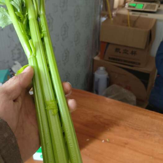 曹县精品芹菜大颗，中颗，中小颗，大量有货